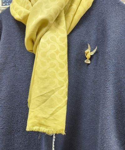 Sarı Kanarya Vintage Broş